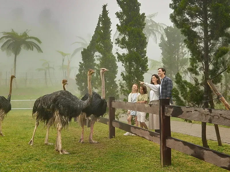 transport-service-balifarmhouse-tour