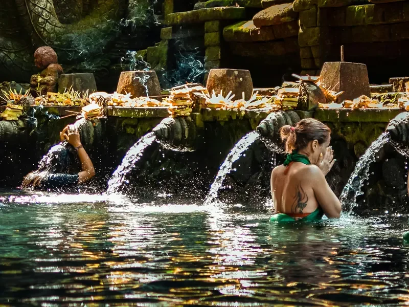 transport-service-purification-tour