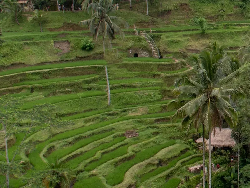 transport-service-ubud-tour